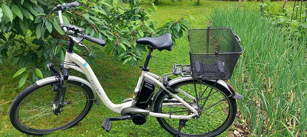 Flyer E-Bike