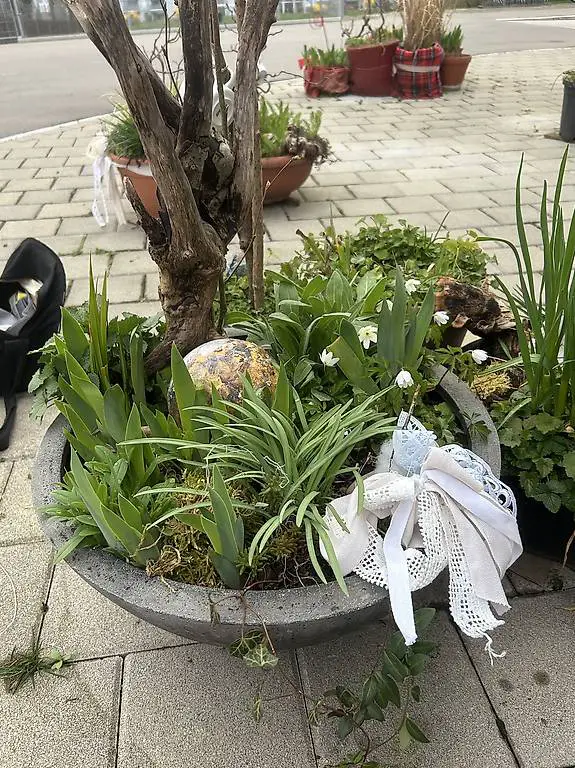 Blumenschale mit 9 verschiedenen Blumen