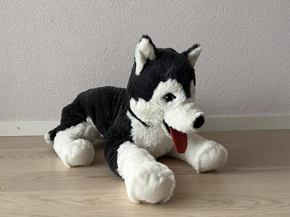 Kuscheltier grosser Husky Hund