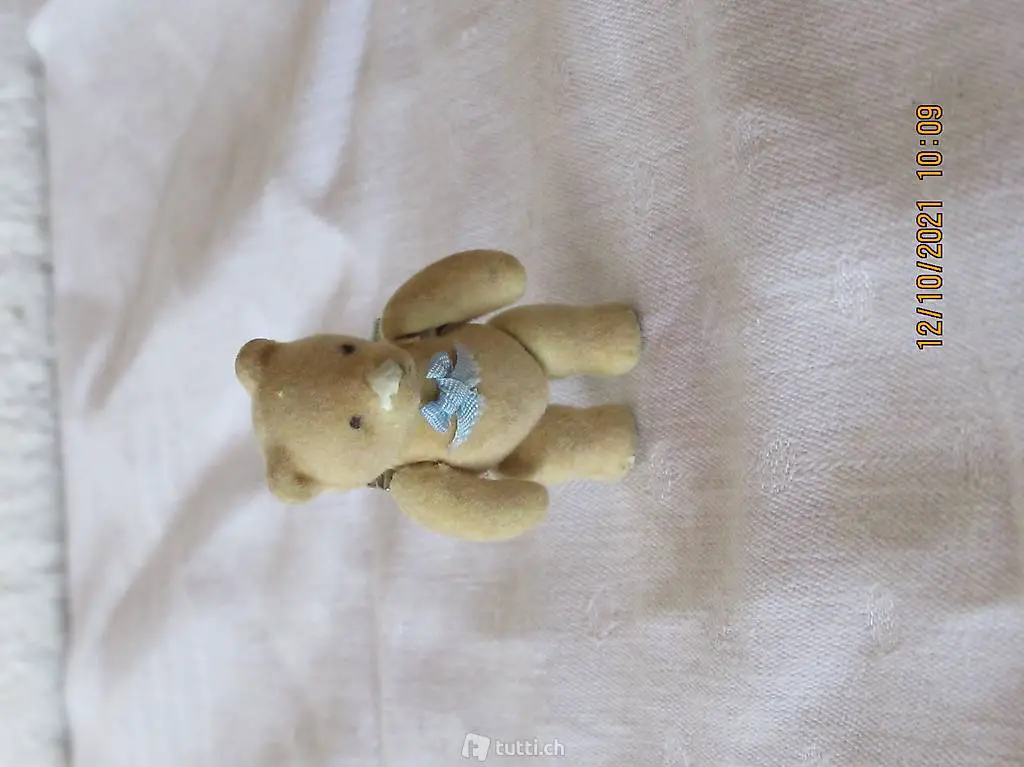 Bär, Anstecker, Brosche