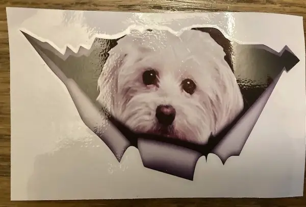 Autoaufkleber 13cm x 8,5cm Neu