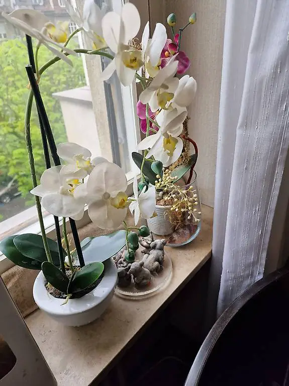 Zur Auswahl Kunstoffpflanze