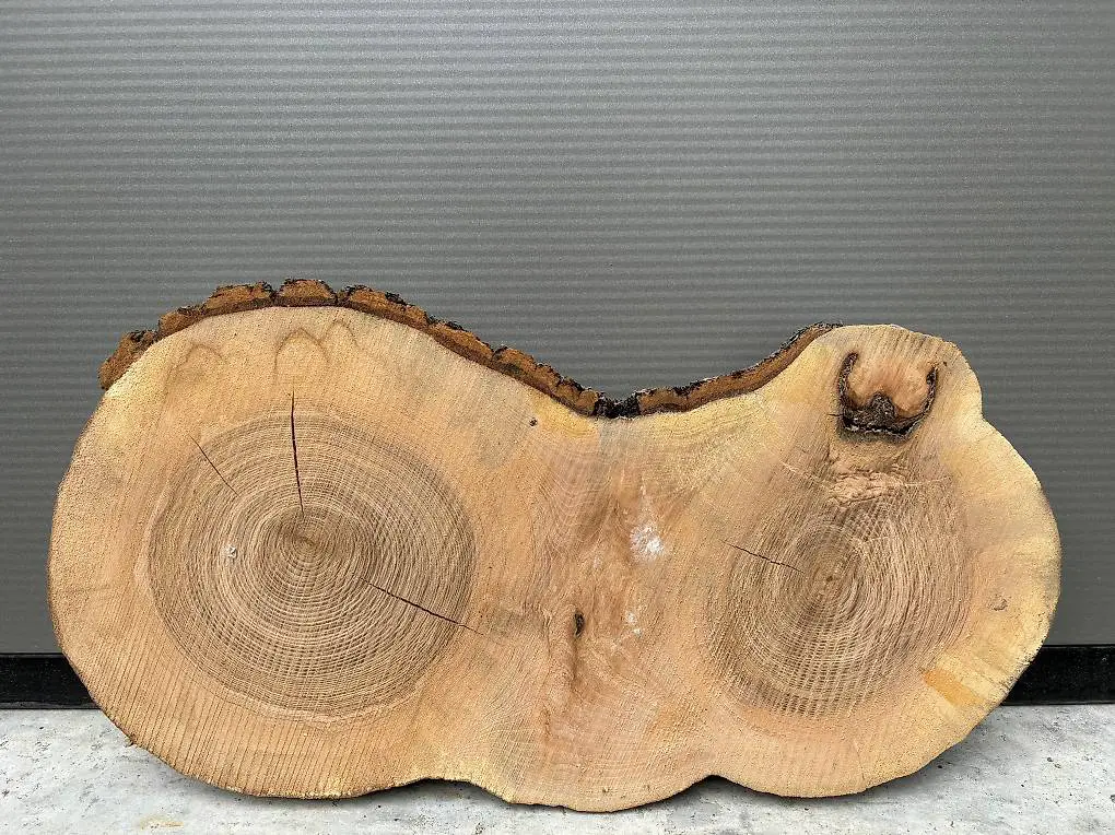 Baumscheibe Esche Hartholz