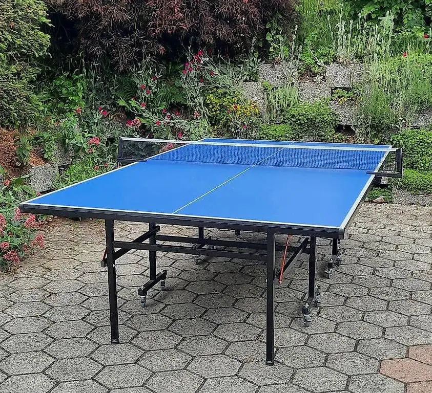 Tischtennisplatte (klappbar)