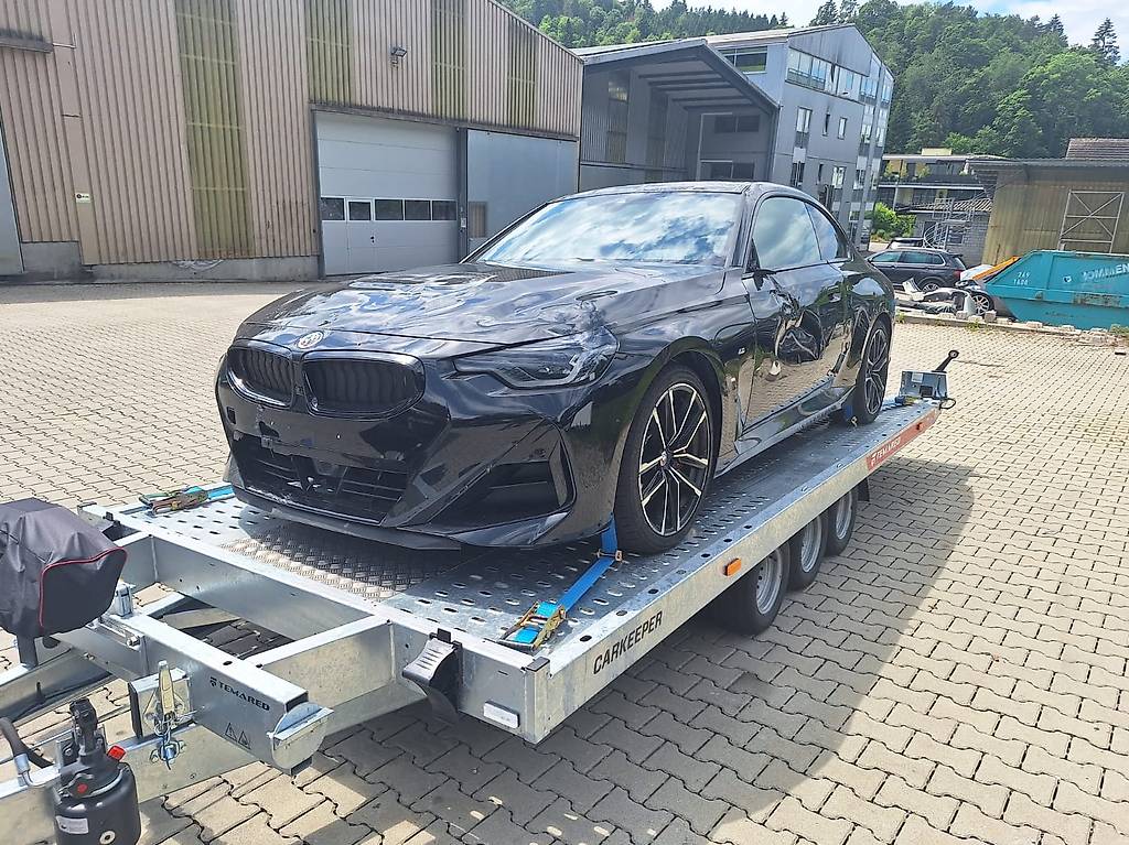 Autotransport Fahrzeugtransport 3500KG