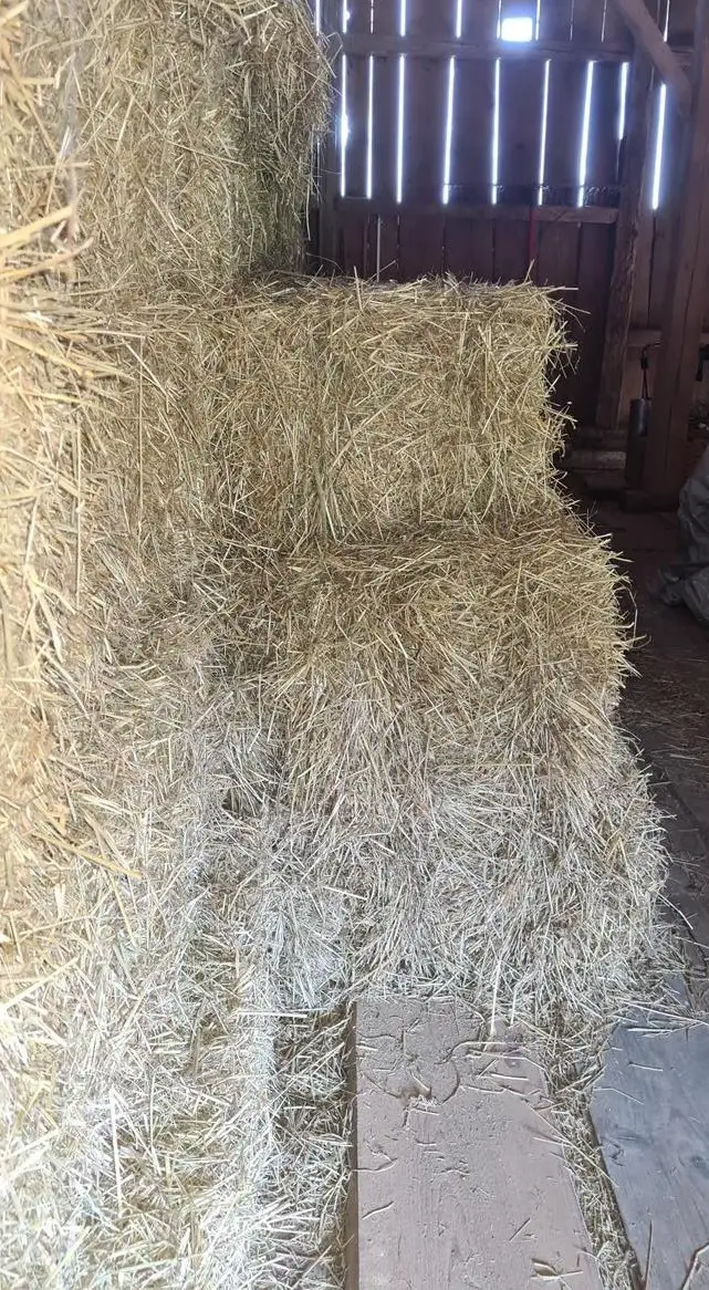 Öko Heu in Kleinballen zu verkaufen