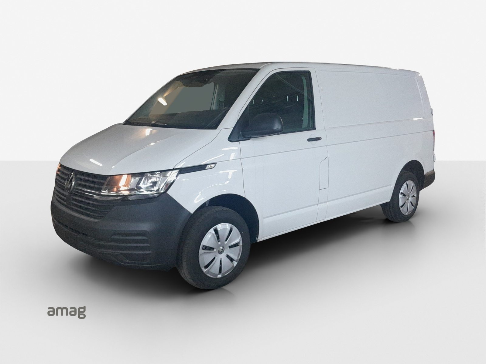 VW Transporter 6.1 Kastenwagen Entry RS 3000 mm