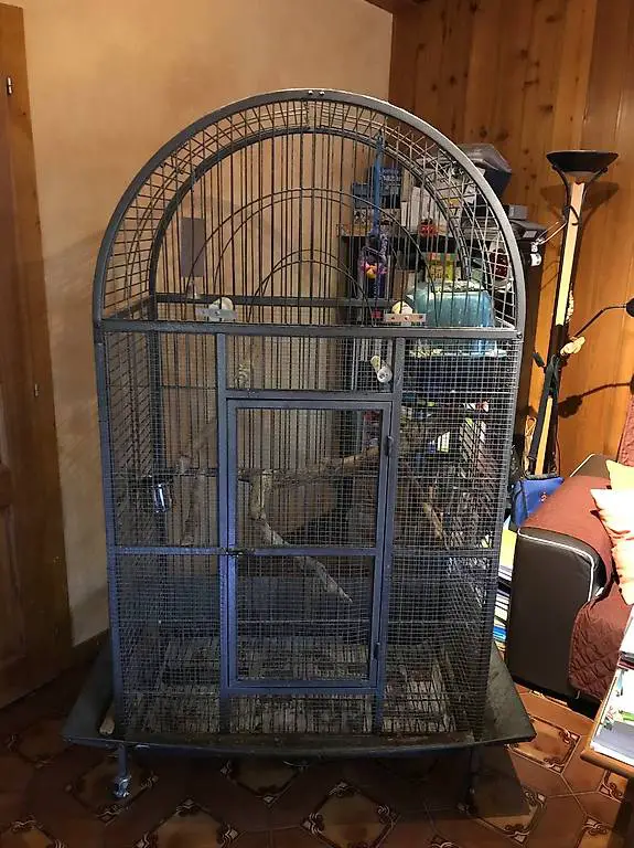 Grande cage pour perroquets