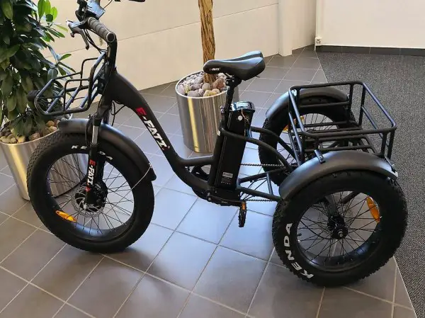  Elektro Dreirad EFATI