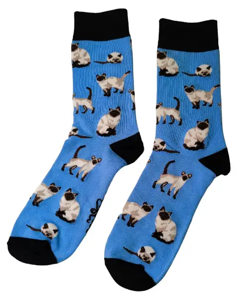 Socken Katzen / Cats