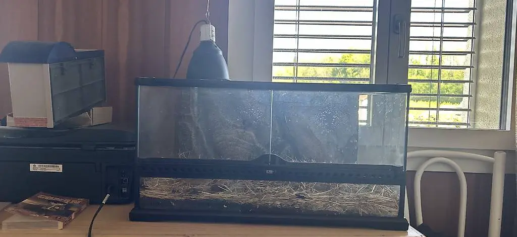 Terrarium mit UV- Wärmelampe