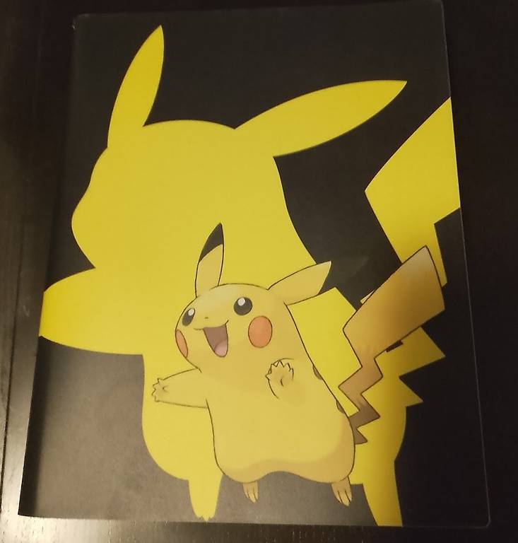 Pokémon Karten Ordner fast voll