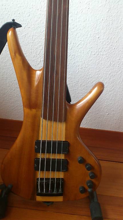 e-bass / 5-string fretless custom made