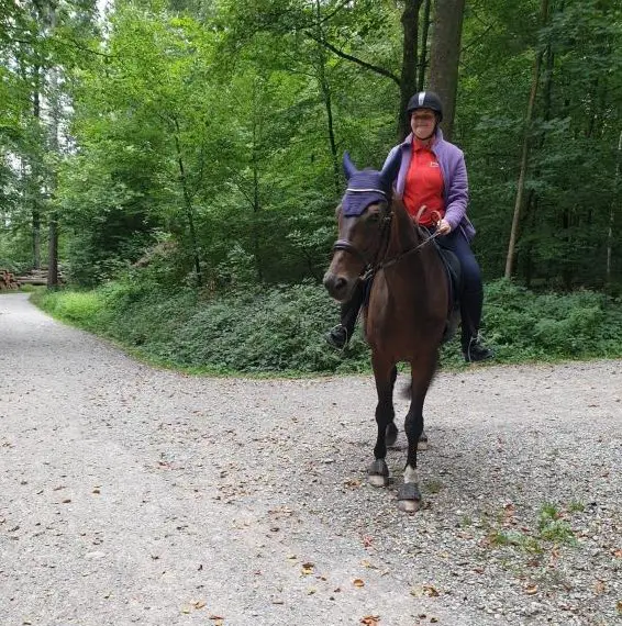 Suche eine Reitbeteiligung, Umgebung Volketswil