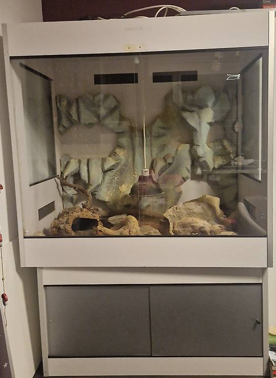 terrarium für reptilien komplettset