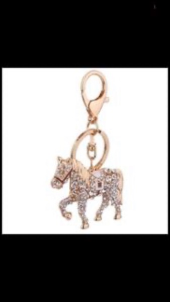 Neue Taschen-Schlüsselanhänger