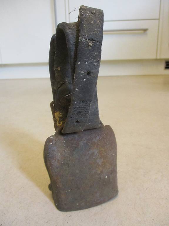 Uralte Geissen-Glocke um 1900 Chalet Chic Deko cloche TOP