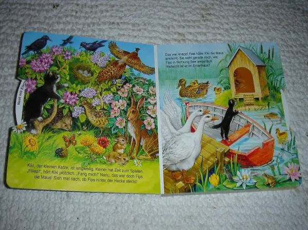  Mein Dreh-und Suchbilderbuch