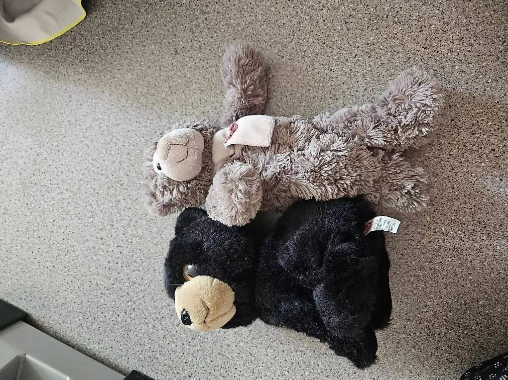 Teddys Plüschtiere neu