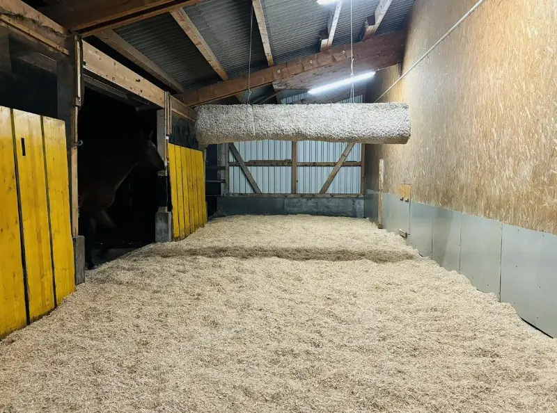 Offenstallplätze frei in Wil SG