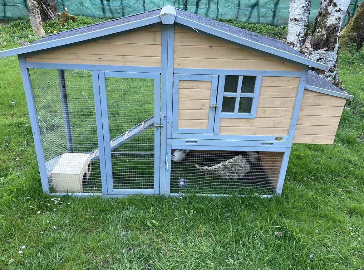 4 Wachteln Hennen inkl. Stall, Zubehör und Futter à 15kg