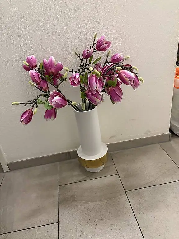 10 Magnolien H 65 cm Neue