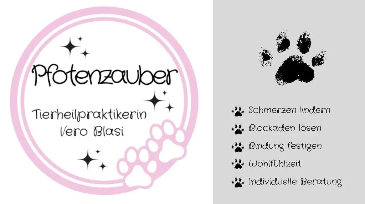Mobile Tierheilpraxis Veros Pfotenzauber für Katzen und Hunde