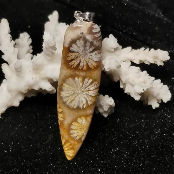 Versteinerte Koralle Anhänger