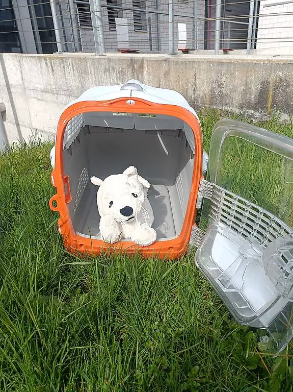 Transportbox für grosse Katzen