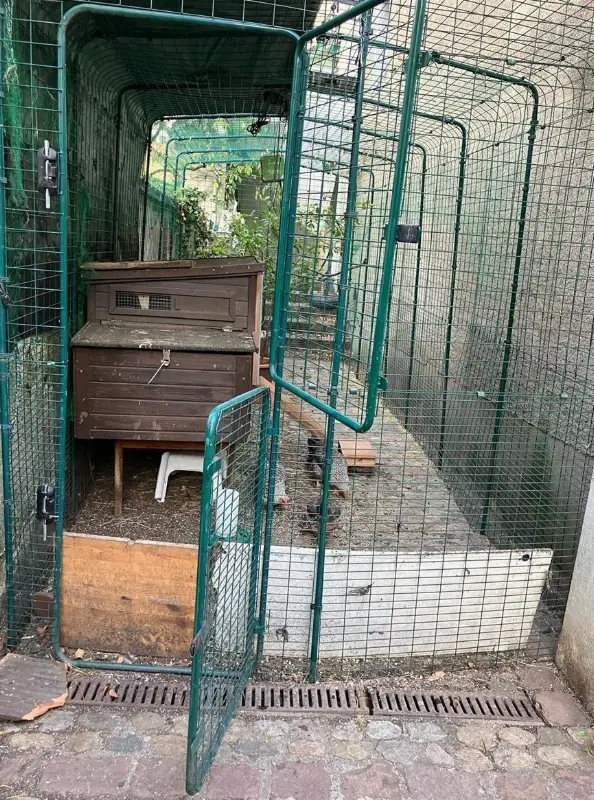 Hühner-/Vogel-Auslaufgehege occasion, begehbar, grün, ca. 12m2