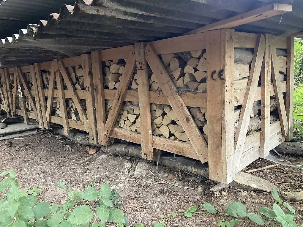 Brennholz trocken 25 cm