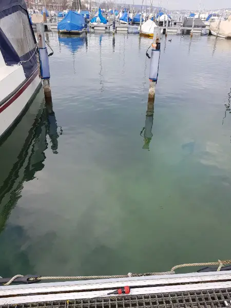 Biete Bootsplatz für Bootsgemeinschaft am unteren Zürichsee