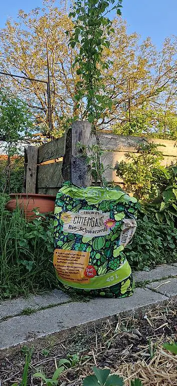 Terra Preta Bio-Schwarzerde Humus Garten Hochbeet torffrei