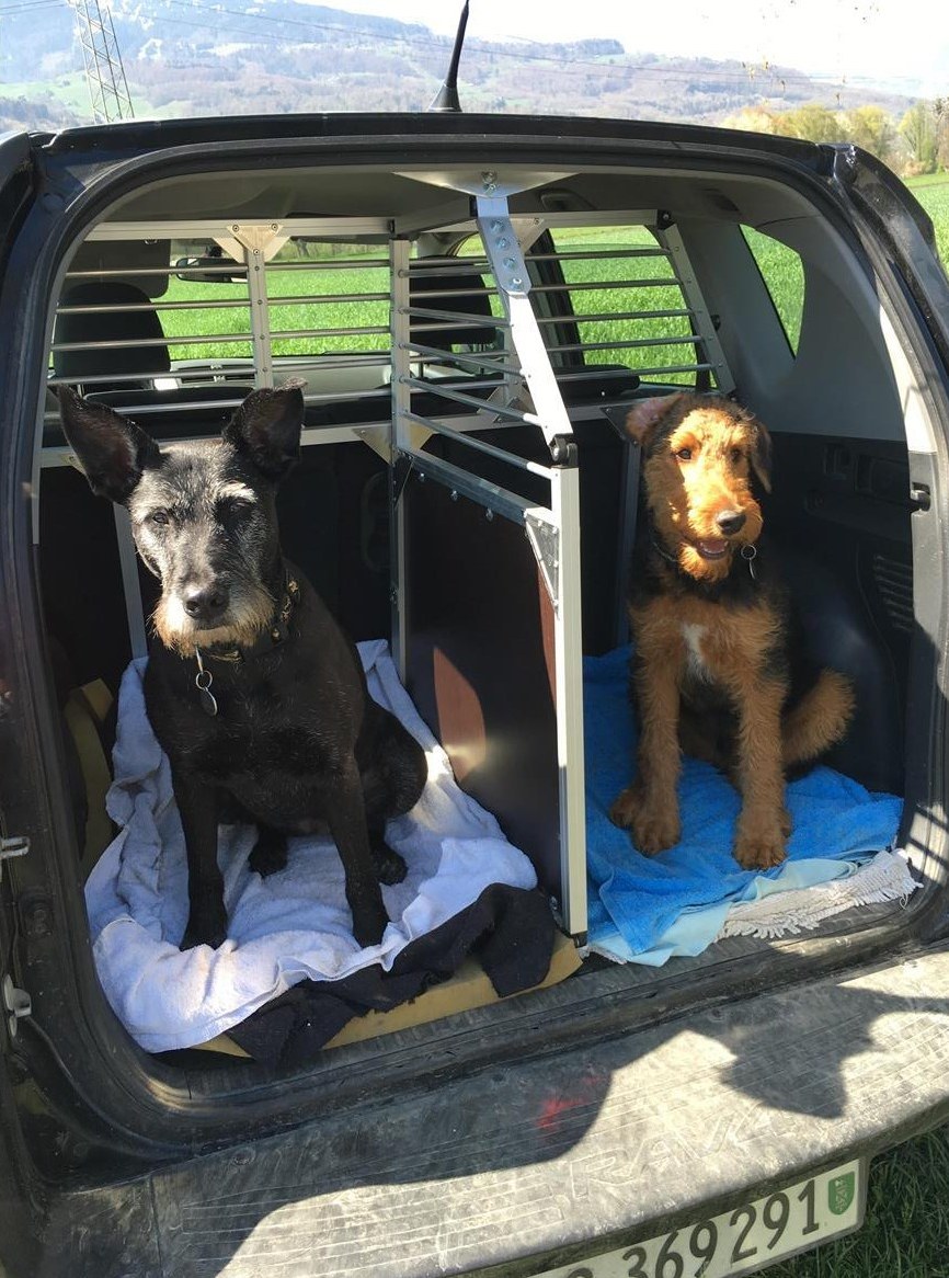 Hundegitter mit Unterteilung, Massanfertigung für Toyota Verso