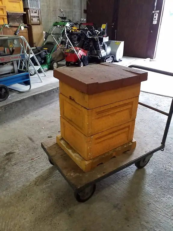 Bienen Magazin Zander