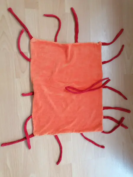 Noschi Plüsch selbst gemacht