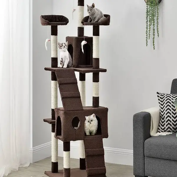  Katzen Kratzbaum braun Katzenbaum Sisalstämmen