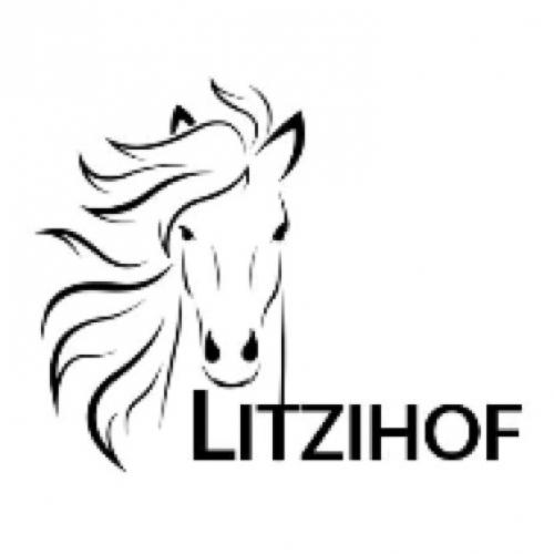 Reitschule Ponyhof Litzihof