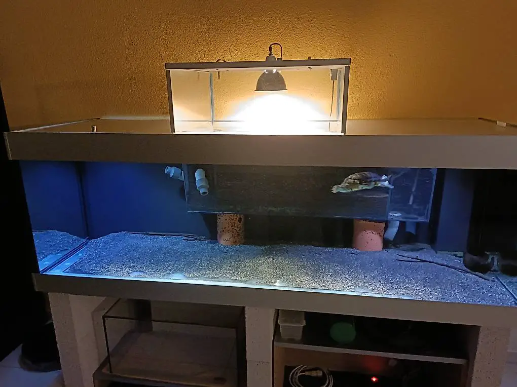 Fessler Aquarium 650l, Inkl. Filter und Daytime LED-light