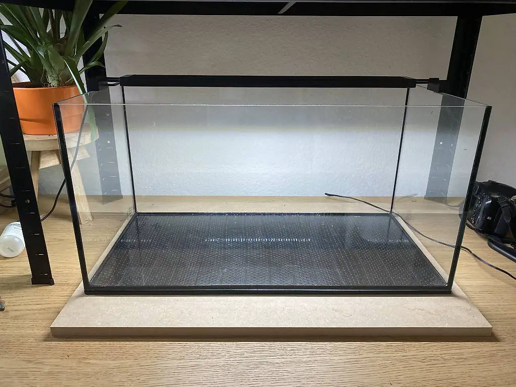 Aquarium 54L mit Fluval Spectrum Bluetooth Licht