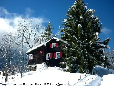 Haute-Nendaz VS, Ferienhaus frei 22.2. - 1.3.25