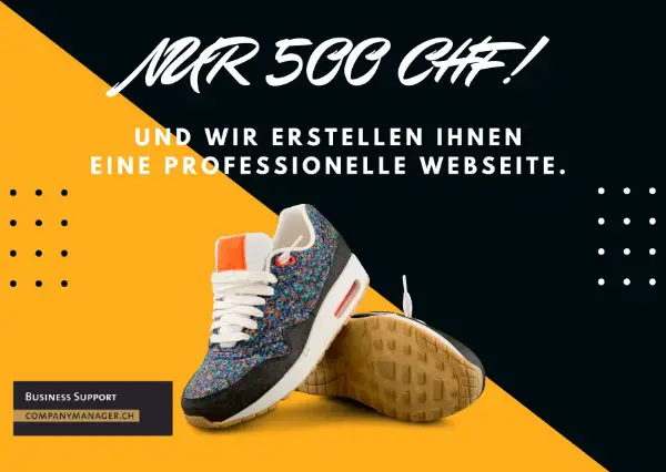 Profiwebseite für nur 500 CHF