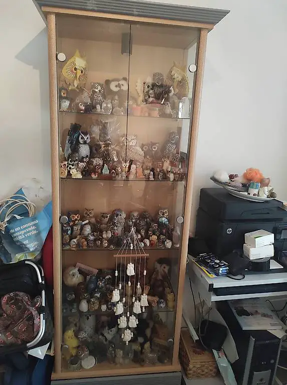 Glasvitrine mit Eulensammlung