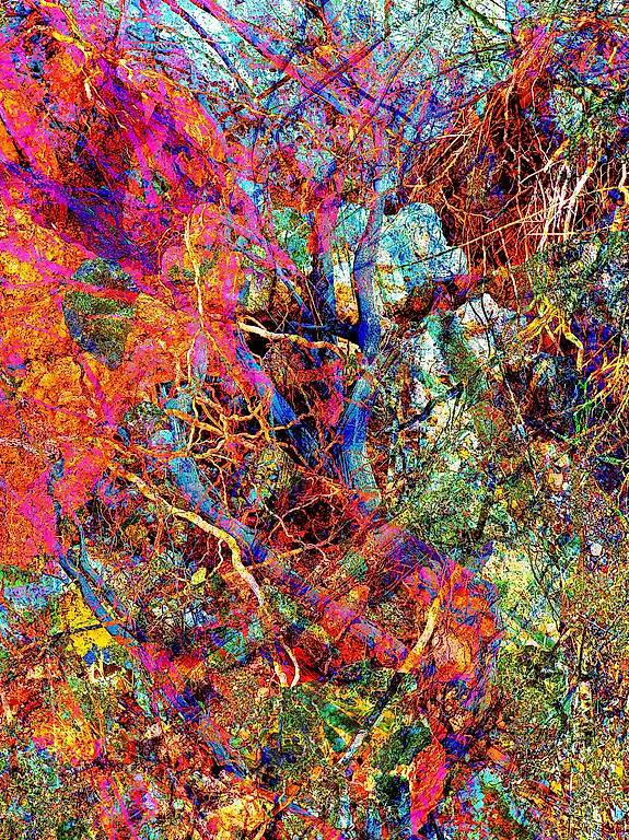 Scopri le meditazioni guidate live, su misura per te