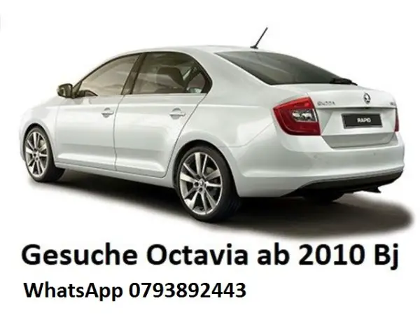 Suche ein Skoda Octavia