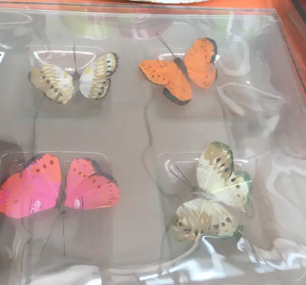 Glasschale m. Schmetterling, für Dekoration