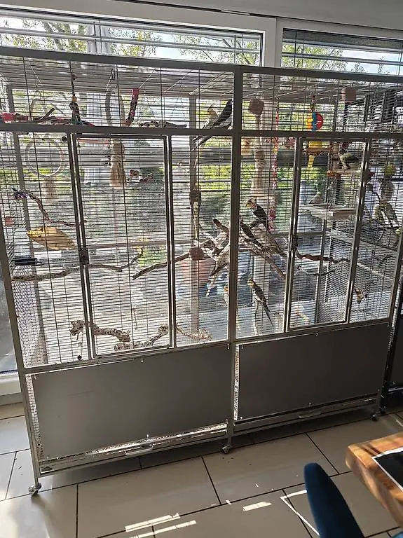 Vogelvoliere XXL Sydney II - Antik - mit waagerechter Verdr