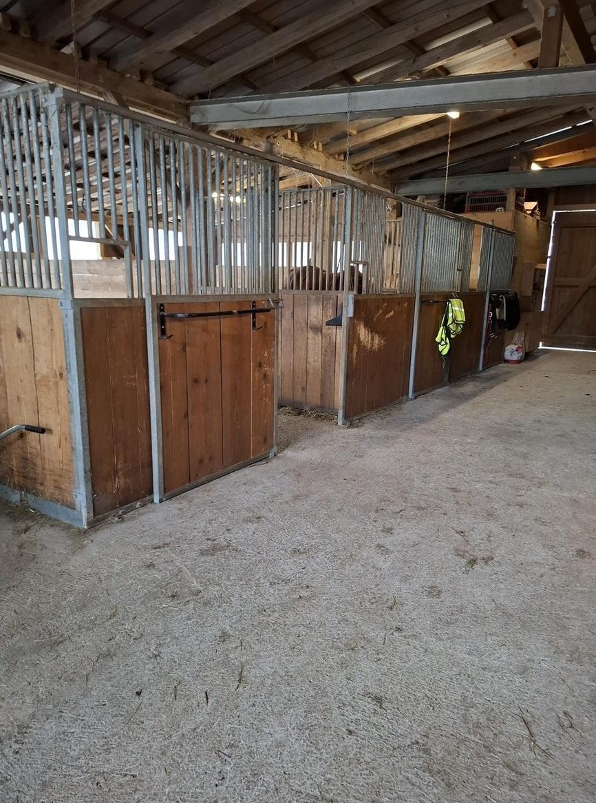 Freie Auslaufboxe auf Bauernhof oberhalb von Bichelsee TG