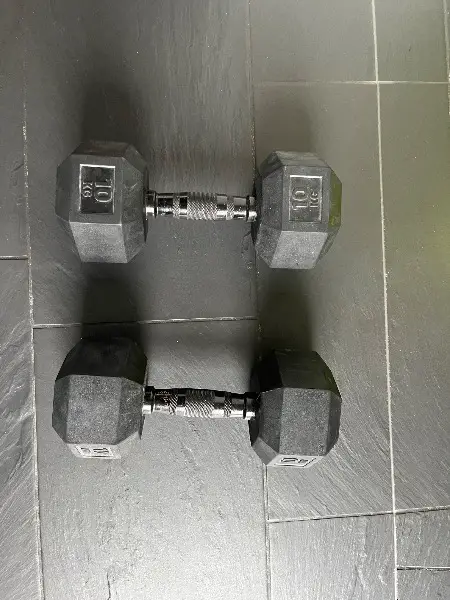 2x 10Kg Hanteln