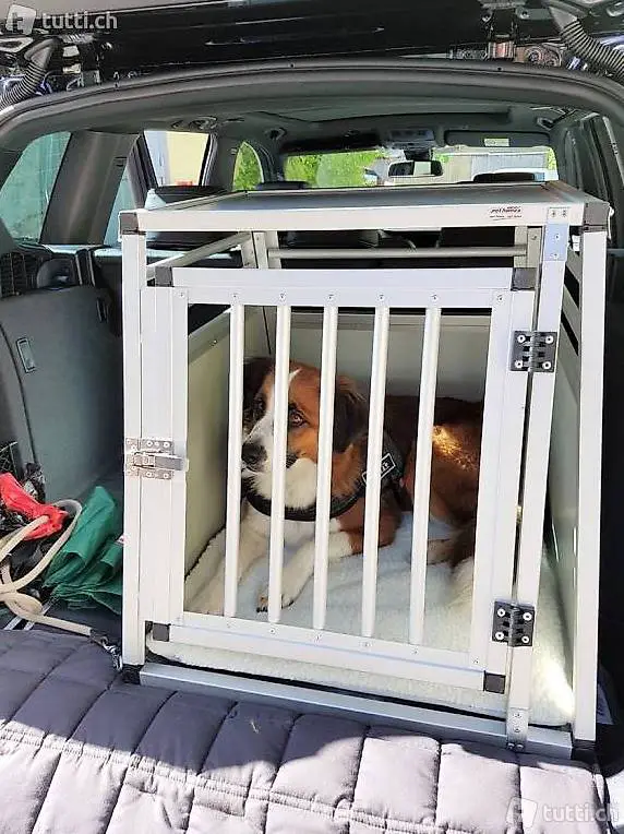  HUNDEBOX mit Notausstieg - Sicherheitsboxe inkl. Decke+Gurte